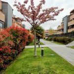 urbanizacion Las Rozas