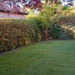 Tepe,Riego nuevo,Acero corten