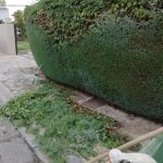 Seto en Pozuelo de Alarcón.